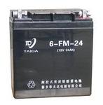 FM型6V、12V系列電池